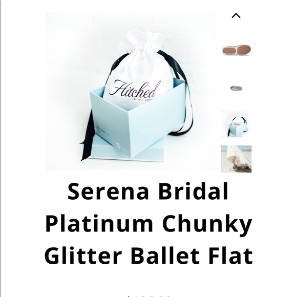 ⭐️ NWT Yosi Samra size 6 “Hitched” platinum flats - Picture 2 of 8